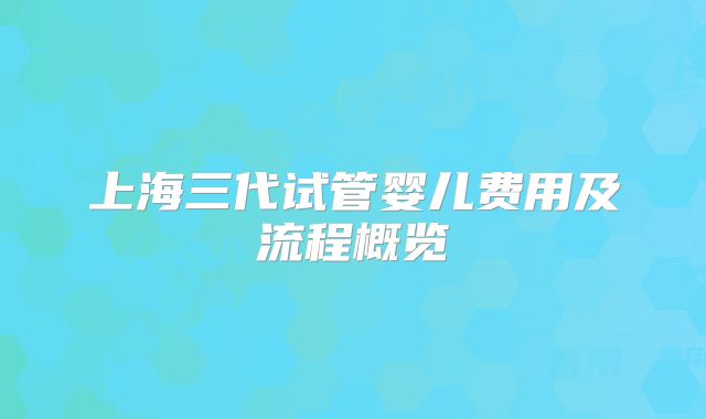 上海三代试管婴儿费用及流程概览