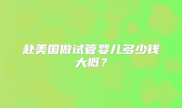 赴美国做试管婴儿多少钱大概？