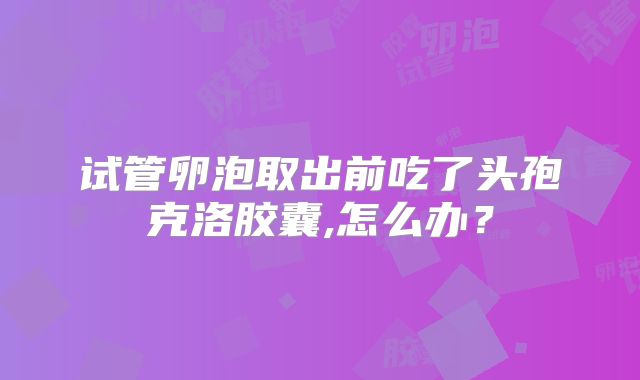 试管卵泡取出前吃了头孢克洛胶囊,怎么办？