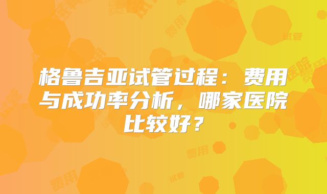 格鲁吉亚试管过程：费用与成功率分析，哪家医院比较好？