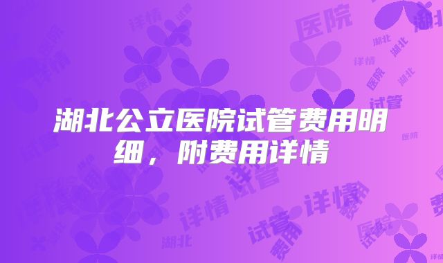 湖北公立医院试管费用明细，附费用详情