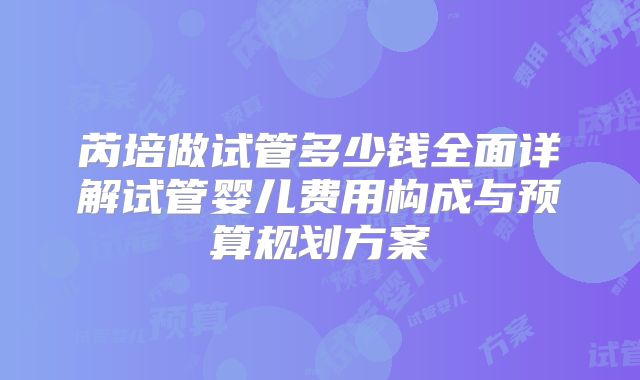 芮培做试管多少钱全面详解试管婴儿费用构成与预算规划方案