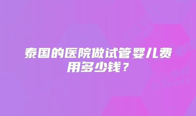 泰国的医院做试管婴儿费用多少钱？