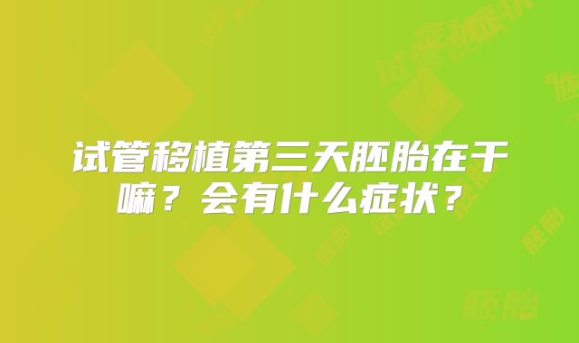 试管移植第三天胚胎在干嘛？会有什么症状？