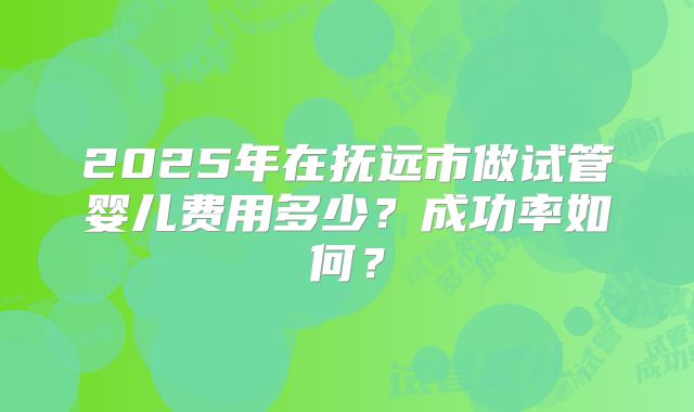 2025年在抚远市做试管婴儿费用多少？成功率如何？