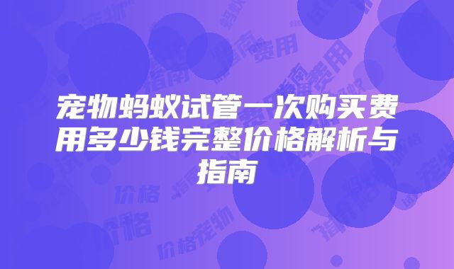 宠物蚂蚁试管一次购买费用多少钱完整价格解析与指南