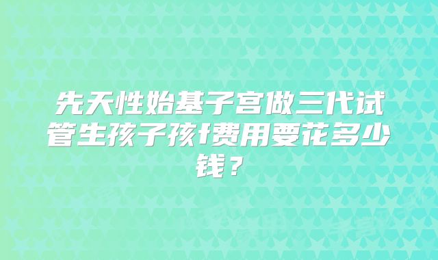 先天性始基子宫做三代试管生孩子孩f费用要花多少钱？