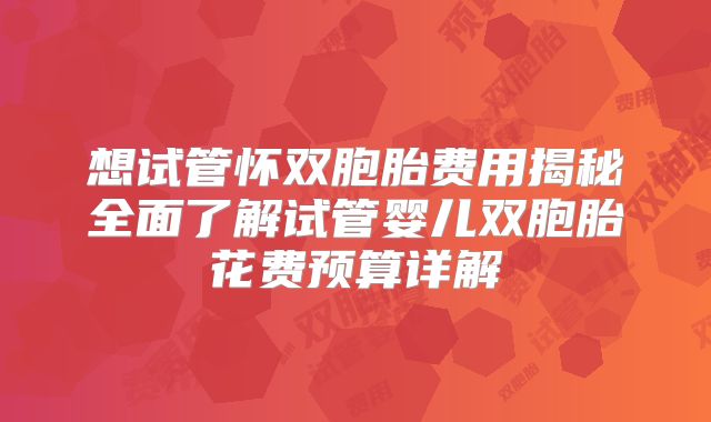 想试管怀双胞胎费用揭秘全面了解试管婴儿双胞胎花费预算详解