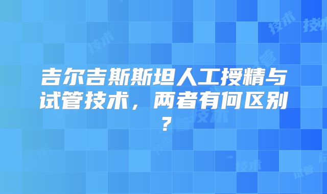 吉尔吉斯斯坦人工授精与试管技术，两者有何区别？
