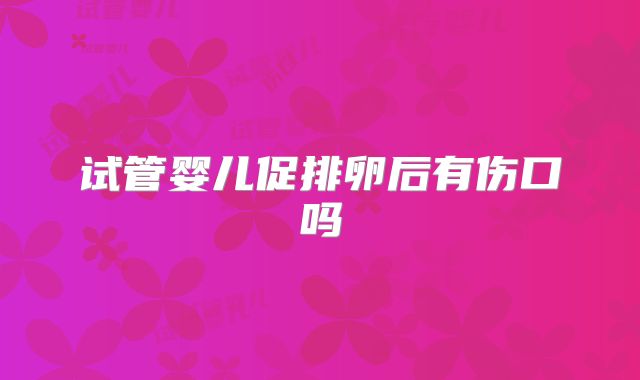 试管婴儿促排卵后有伤口吗