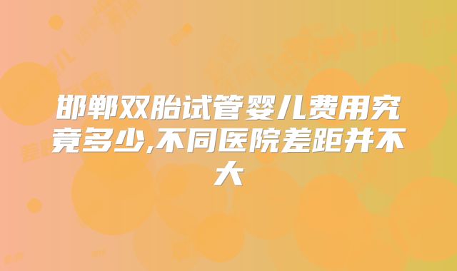 邯郸双胎试管婴儿费用究竟多少,不同医院差距并不大