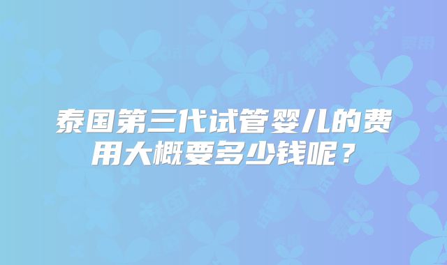 泰国第三代试管婴儿的费用大概要多少钱呢?