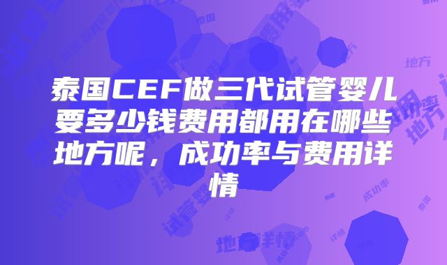 泰国CEF做三代试管婴儿要多少钱费用都用在哪些地方呢，成功率与费用详情