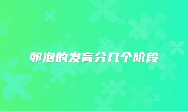 卵泡的发育分几个阶段