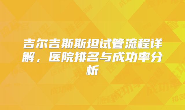 吉尔吉斯斯坦试管流程详解，医院排名与成功率分析