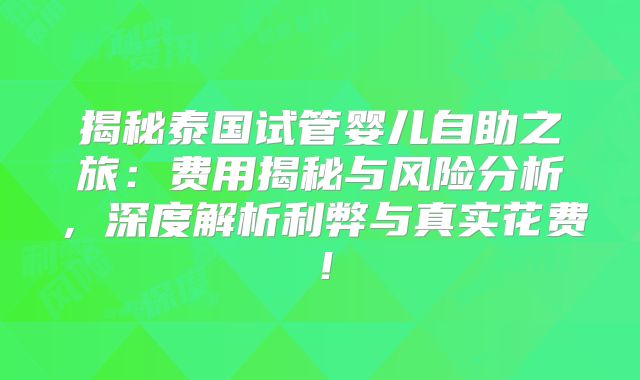 揭秘泰国试管婴儿自助之旅：费用揭秘与风险分析，深度解析利弊与真实花费！