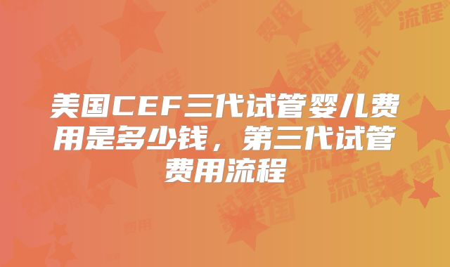 美国CEF三代试管婴儿费用是多少钱，第三代试管费用流程