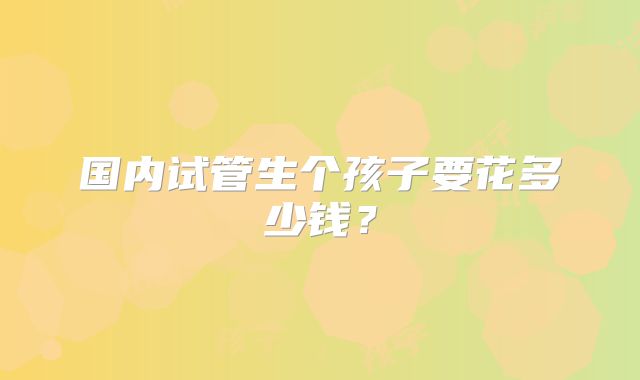 国内试管生个孩子要花多少钱？