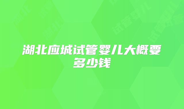 湖北应城试管婴儿大概要多少钱