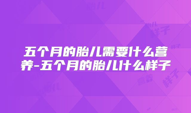 五个月的胎儿需要什么营养-五个月的胎儿什么样子