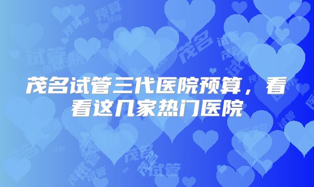 茂名试管三代医院预算，看看这几家热门医院