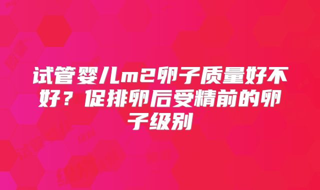 试管婴儿m2卵子质量好不好?促排卵后受精前的卵子级别