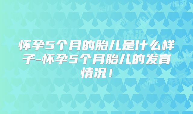 怀孕5个月的胎儿是什么样子-怀孕5个月胎儿的发育情况！