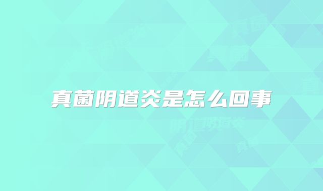 真菌阴道炎是怎么回事