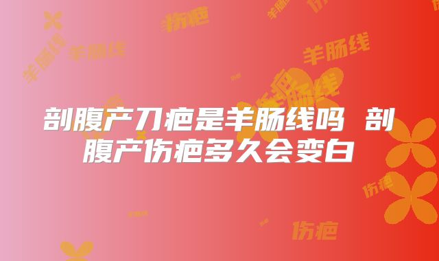 剖腹产刀疤是羊肠线吗 剖腹产伤疤多久会变白