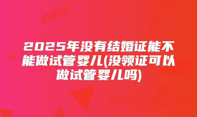2025年没有结婚证能不能做试管婴儿(没领证可以做试管婴儿吗)