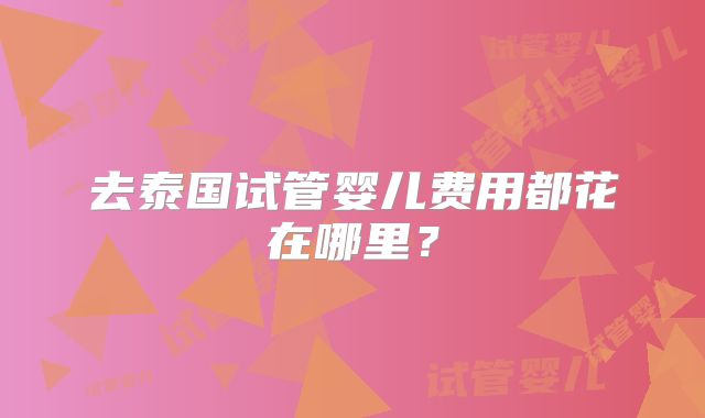 去泰国试管婴儿费用都花在哪里？