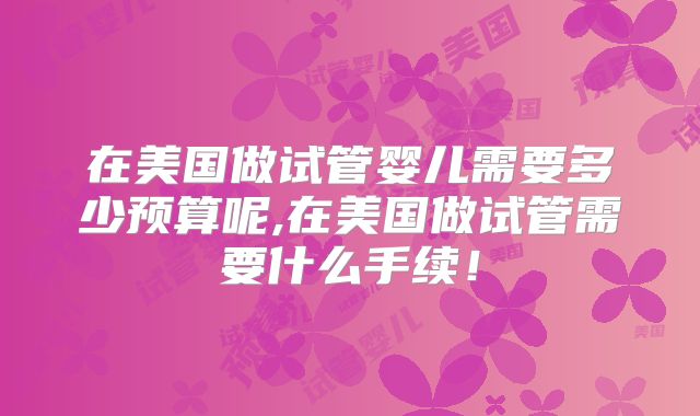 在美国做试管婴儿需要多少预算呢,在美国做试管需要什么手续!