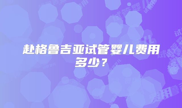 赴格鲁吉亚试管婴儿费用多少?