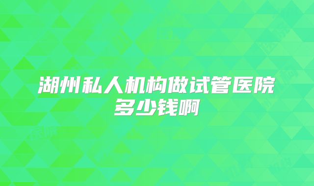 湖州私人机构做试管医院多少钱啊