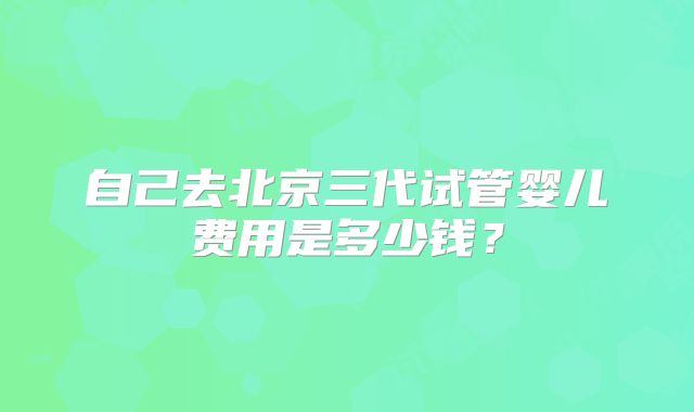自己去北京三代试管婴儿费用是多少钱？