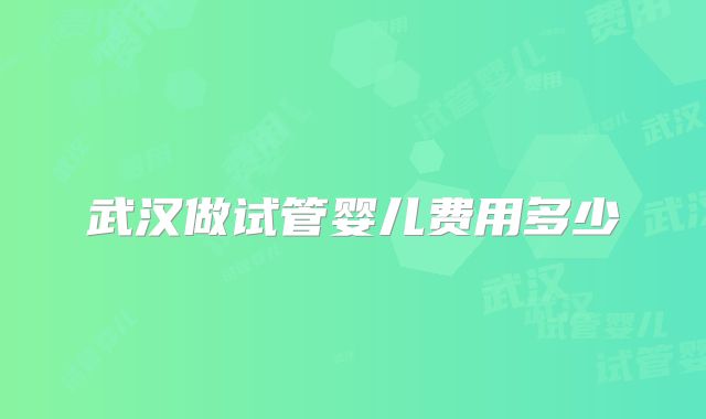 武汉做试管婴儿费用多少