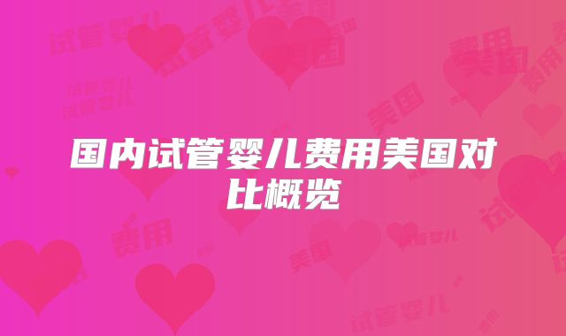 国内试管婴儿费用美国对比概览