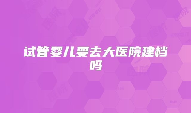 试管婴儿要去大医院建档吗