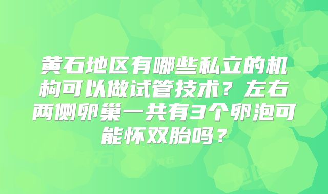 黄石地区有哪些私立的机构可以做试管技术？左右两侧卵巢一共有3个卵泡可能怀双胎吗？