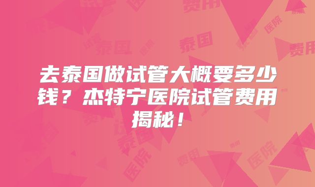 去泰国做试管大概要多少钱？杰特宁医院试管费用揭秘！