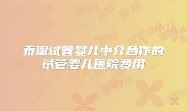 泰国试管婴儿中介合作的试管婴儿医院费用