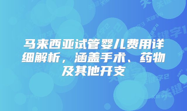 马来西亚试管婴儿费用详细解析，涵盖手术、药物及其他开支