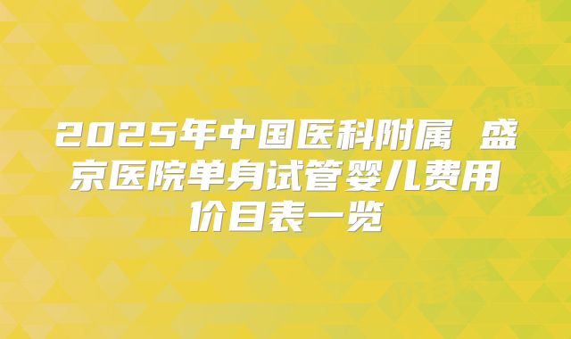 2025年中国医科附属 盛京医院单身试管婴儿费用价目表一览