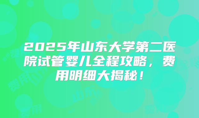2025年山东大学第二医院试管婴儿全程攻略,费用明细大揭秘!