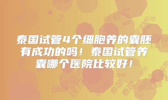 泰国试管4个细胞养的囊胚有成功的吗！泰国试管养囊哪个医院比较好！