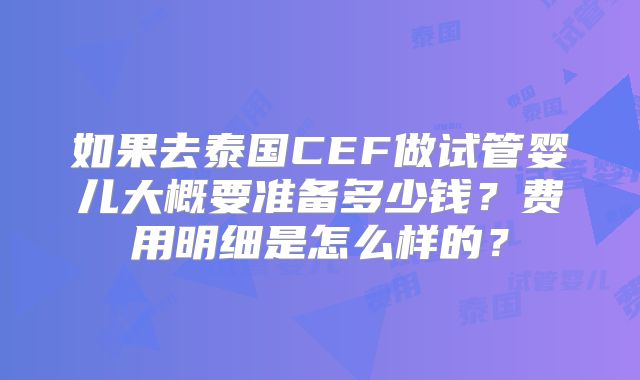 如果去泰国CEF做试管婴儿大概要准备多少钱？费用明细是怎么样的？