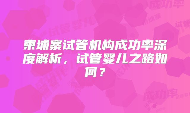 柬埔寨试管机构成功率深度解析，试管婴儿之路如何？