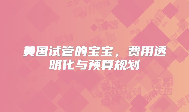 美国试管的宝宝,费用透明化与预算规划