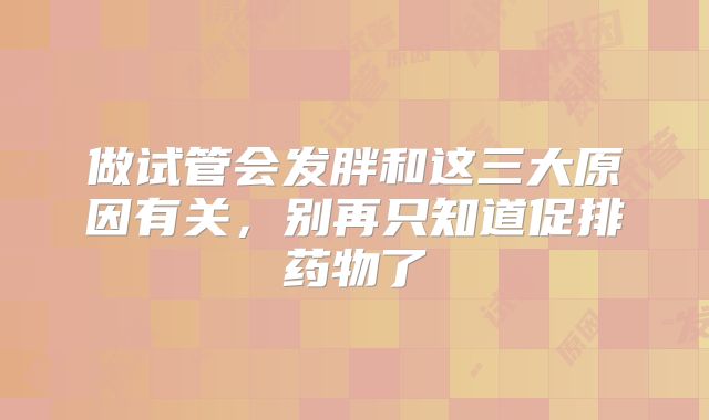 做试管会发胖和这三大原因有关，别再只知道促排药物了