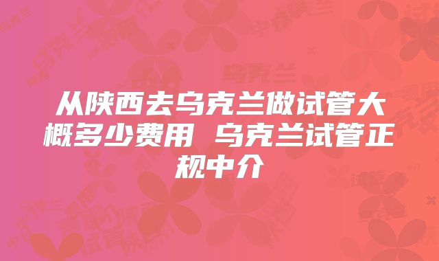 从陕西去乌克兰做试管大概多少费用 乌克兰试管正规中介